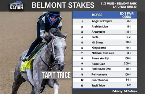 list of horses for the belmont stakes|2023 Belmont Stakes Contenders: Official Entries, Top Horses.